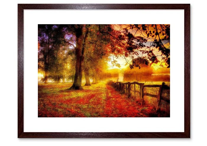Autumn Season Outdoor Running Walking Path Tree 